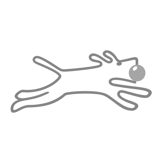 Rostfreies Rohrzubehör Vorschweißflansch Gedreht 1.4541 Rostfreies Rohrzubehör Vorschweißflansch Gedreht 1.4541